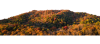 The mid-front layer to a parallax header displaying some beautiful hills during the fall.