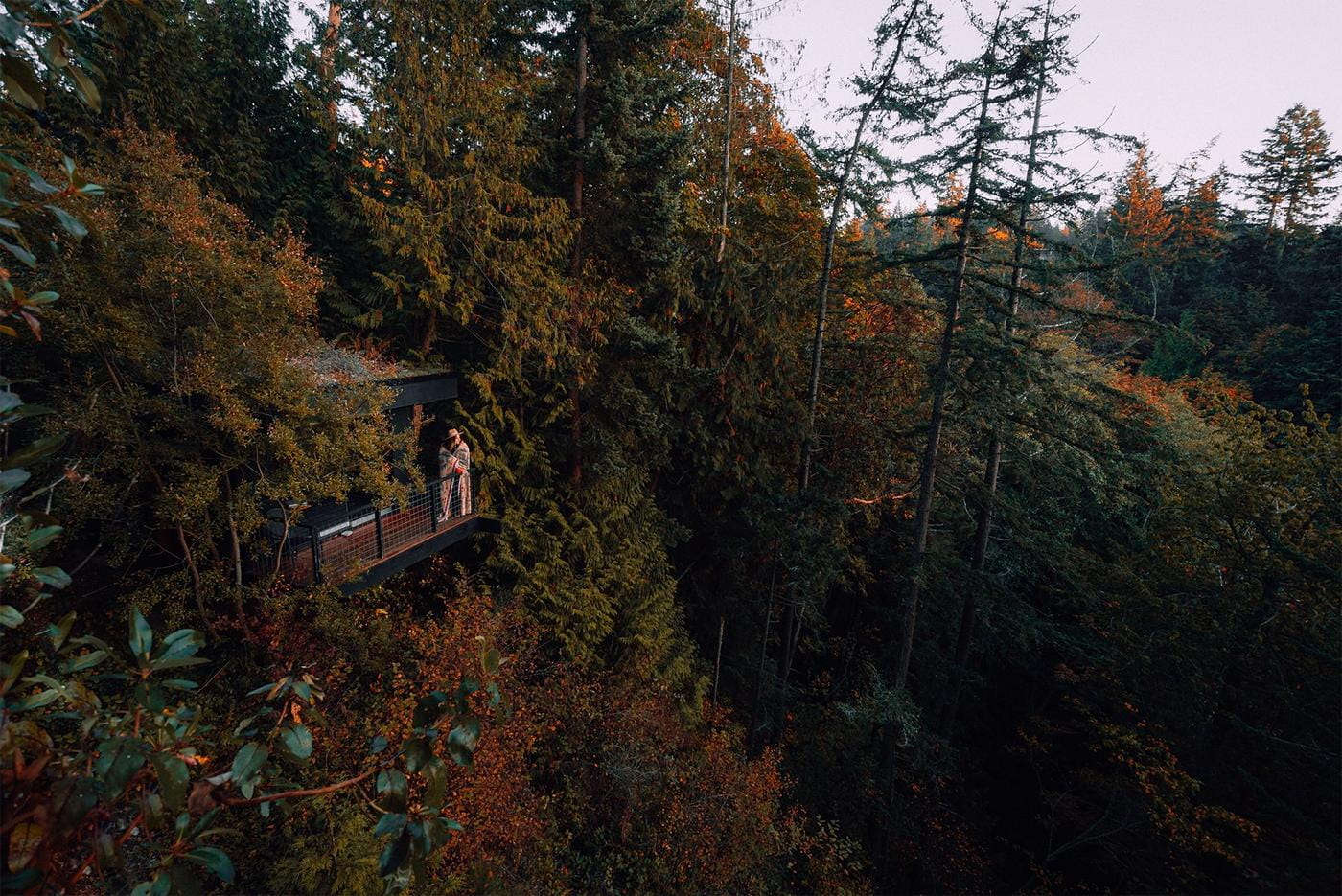 A woman standing outside on a balcony of a cabin house deep in the woods.